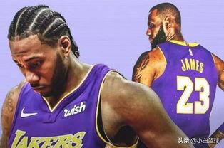 詹姆斯ad最新爆料,揭秘篮球巨星背后的故事与挑战